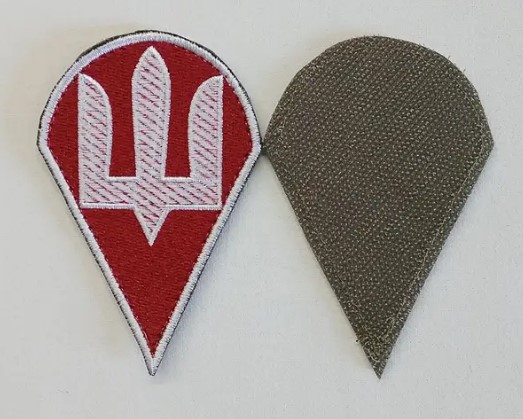 Шевроны дшв украины: виды и значение